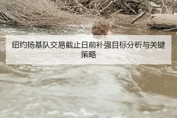 纽约扬基队交易截止日前补强目标分析与关键策略